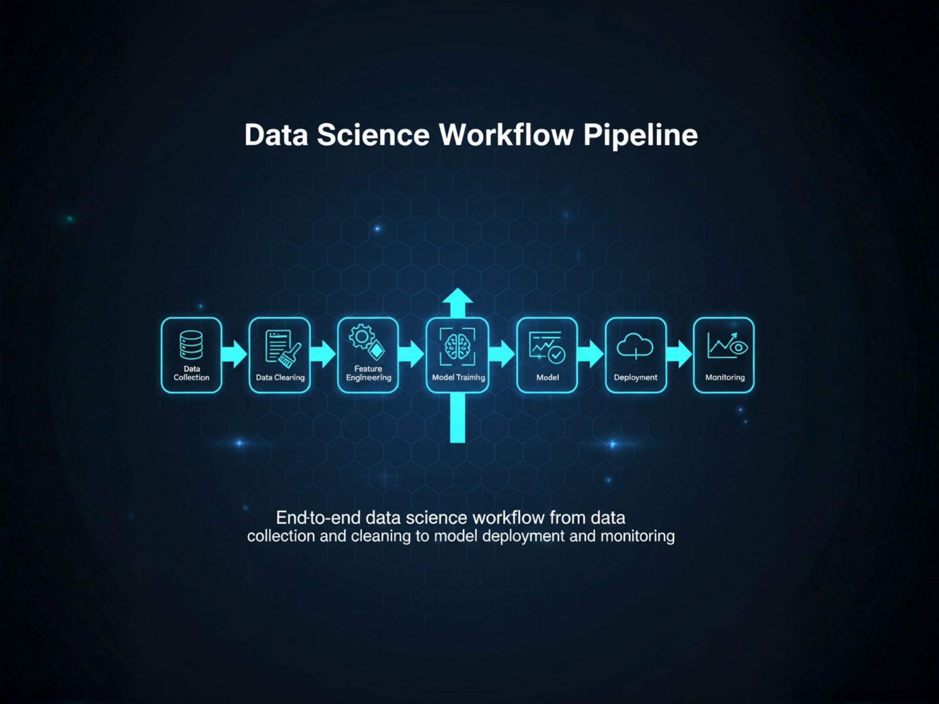 Data Science Workflow