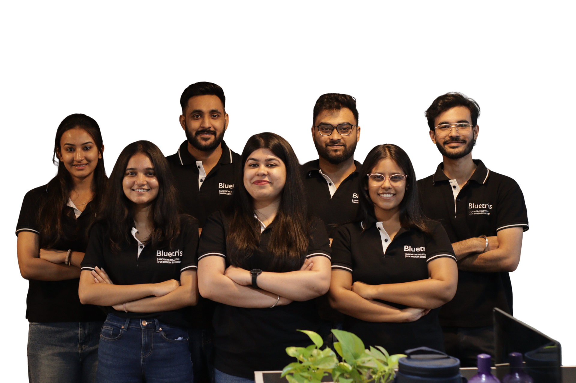 Bluetris Healthcare AI Implementation Team